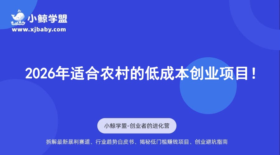 2026年适合农村的低成本创业项目！