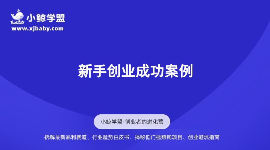 新手创业成功案例