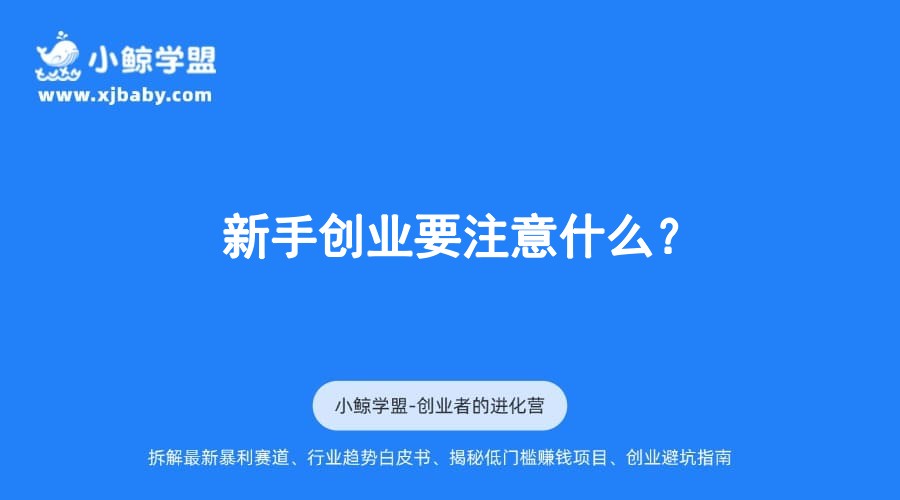 新手创业要注意什么？