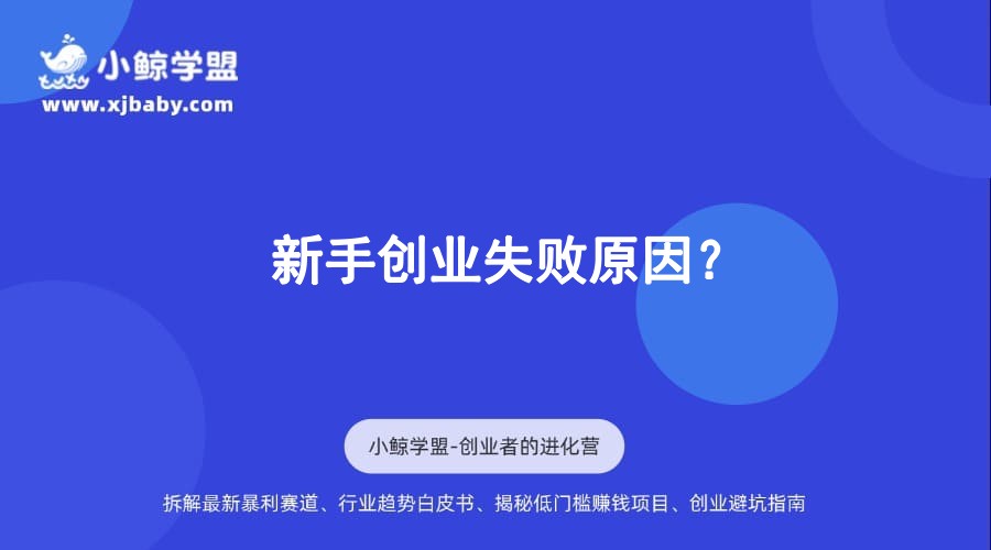 新手创业失败原因？